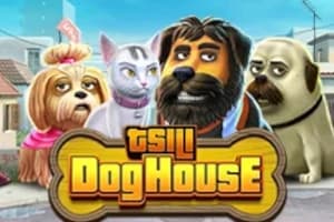 TSILI Dog House - Slot Pragmatic Play | RTP N/A | MisterTopCasino
