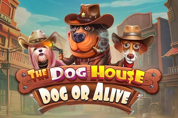 The Dog House - Dog or Alive - Slot Pragmatic Play | RTP N/A | MisterTopCasino