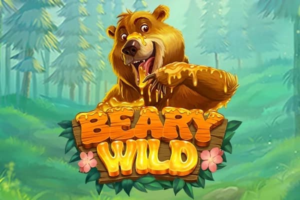 Beary Wild - Slot RTG | RTP N/A | MisterTopCasino