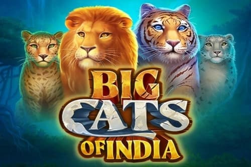 Big Cats of India - Slot TopSpin | RTP N/A | MisterTopCasino