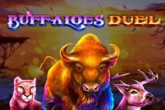 Buffaloes Duel - Slot GameArt | RTP N/A | MisterTopCasino