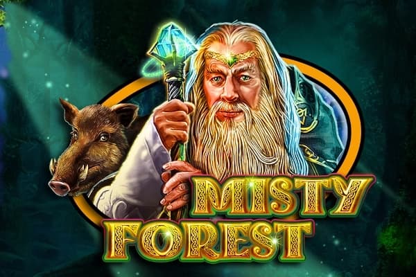 Misty Forest - Slot CT Interactive | RTP 94.2% | MisterTopCasino