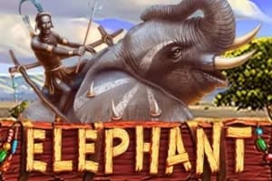 Elephant - Slot PlayStar | RTP N/A | MisterTopCasino
