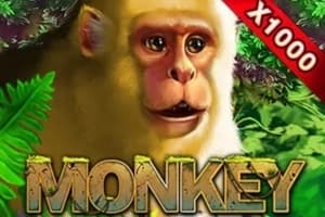 Monkey - Slot PlayStar | RTP N/A | MisterTopCasino