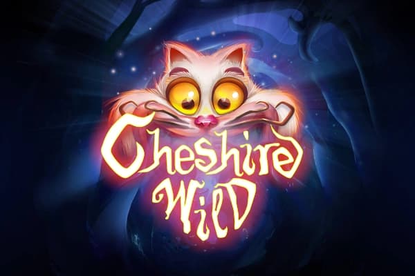 Cheshire Wild - Slot Skywind | RTP N/A | MisterTopCasino
