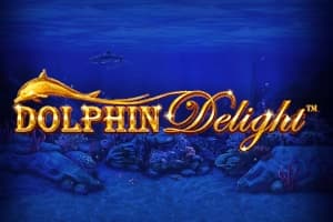Dolphin Delight - Slot Skywind | RTP N/A | MisterTopCasino
