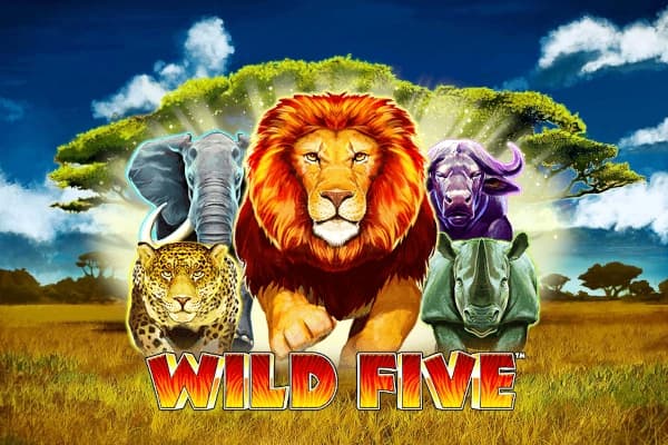 Wild Five - Slot Skywind | RTP N/A | MisterTopCasino