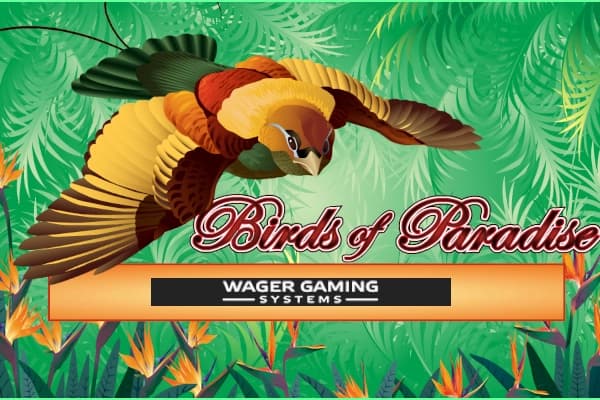 Birds of Paradise - Slot WGS | RTP N/A | MisterTopCasino