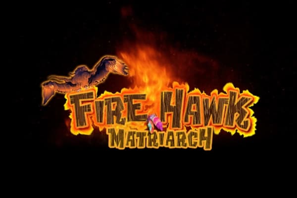 Fire Hawk Matriarch - Slot WGS | RTP N/A | MisterTopCasino