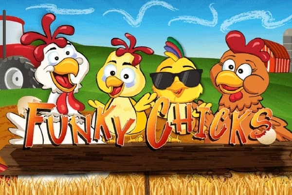 Funky Chicks - Slot WGS | RTP N/A | MisterTopCasino