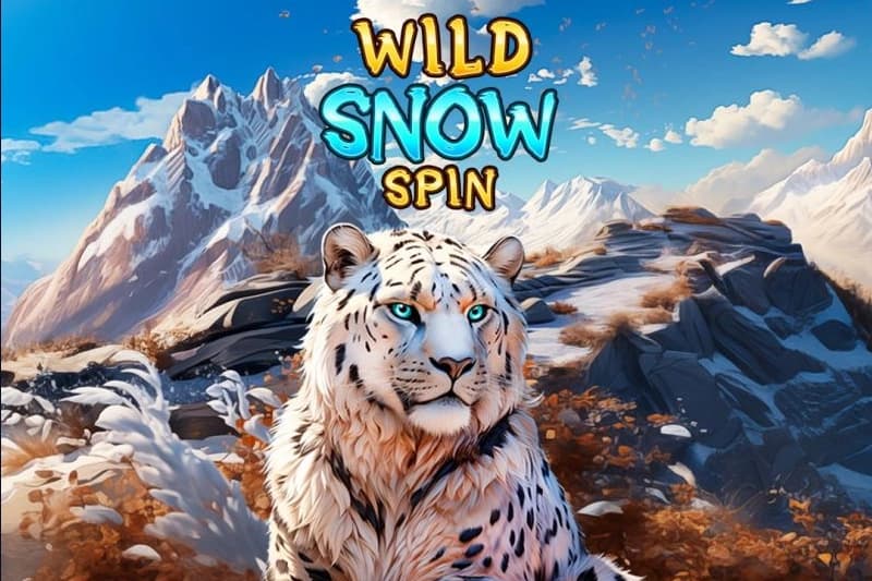 Wild Snow Spin - Slot MGA | RTP N/A | MisterTopCasino