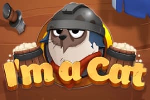 I'm A Cat - Slot Pixmove Games | RTP N/A | MisterTopCasino