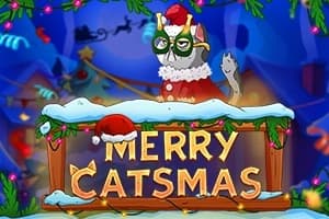 Merry Catsmas - Slot Pixmove Games | RTP N/A | MisterTopCasino