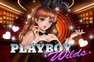 Playboy Wilds - Slot Microgaming | RTP N/A | MisterTopCasino