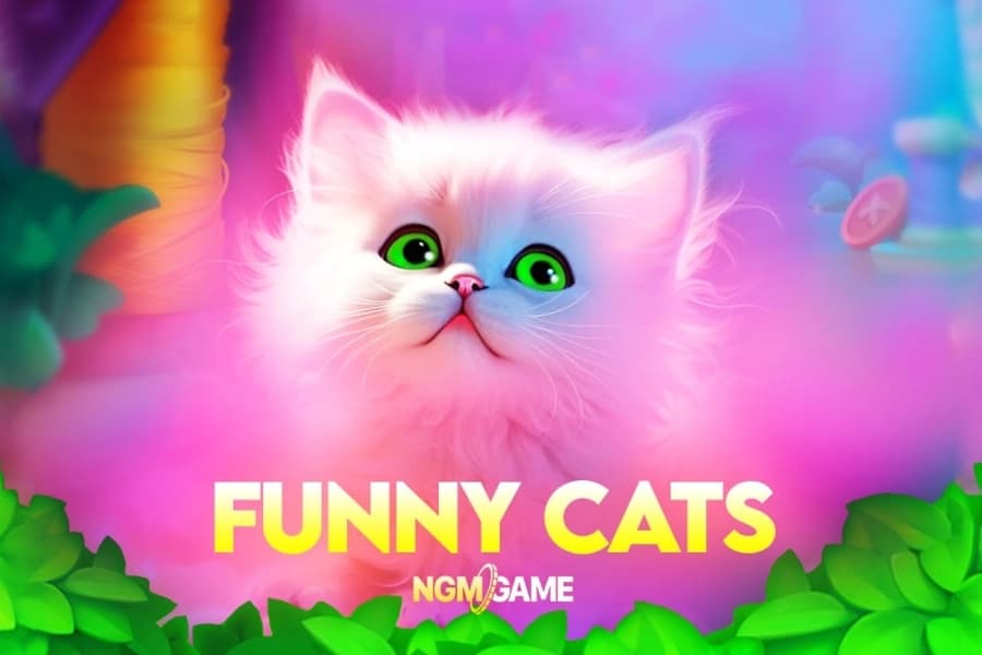 Funny Cats - Slot NGM Game | RTP N/A | MisterTopCasino