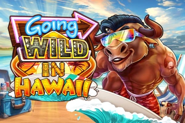 Going Wild in Hawaii - Slot Boomerang Studios | RTP N/A | MisterTopCasino