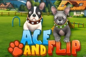 Ace and Flip - Slot WGS | RTP N/A | MisterTopCasino