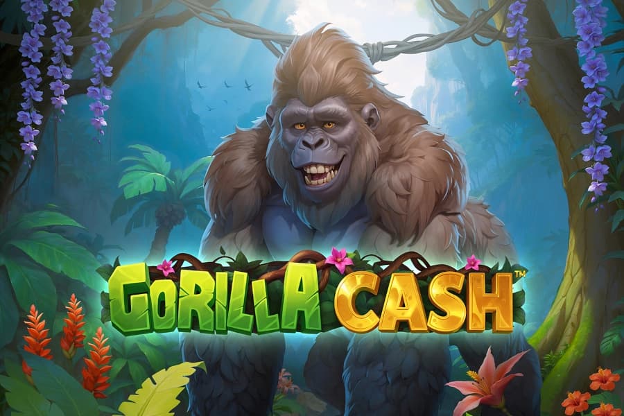 Gorilla Cash - Slot Greentube | RTP N/A | MisterTopCasino