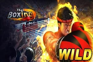 Thai Boxing - Slot FunTa Gaming | RTP N/A | MisterTopCasino
