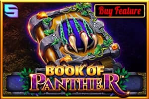 Book of Panther - Slot Spinomenal | RTP N/A | MisterTopCasino