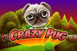 Crazy Pug - Slot Swintt | RTP N/A | MisterTopCasino