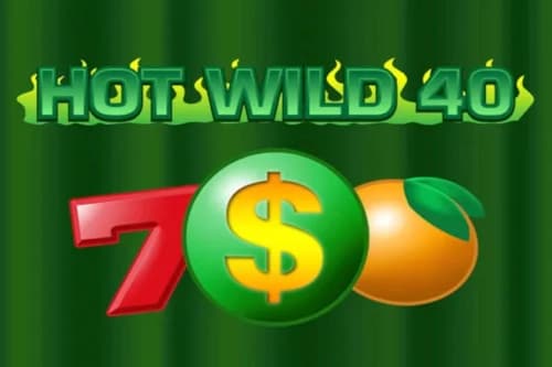 Hot Wild 40 - Slot Tech4Bet | RTP N/A | MisterTopCasino