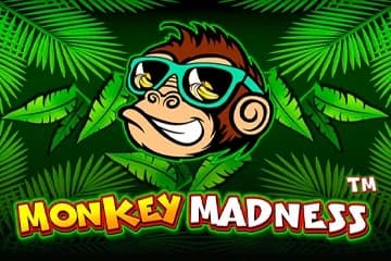Monkey Madness - Slot Pragmatic Play | RTP 96.53% | MisterTopCasino