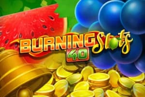 Burning Slots 40 - Slot BF Games | RTP N/A | MisterTopCasino