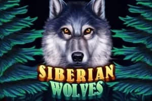 Siberian Wolves - Slot KA Gaming | RTP N/A | MisterTopCasino
