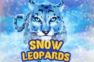 Snow Leopards - Slot KA Gaming | RTP N/A | MisterTopCasino