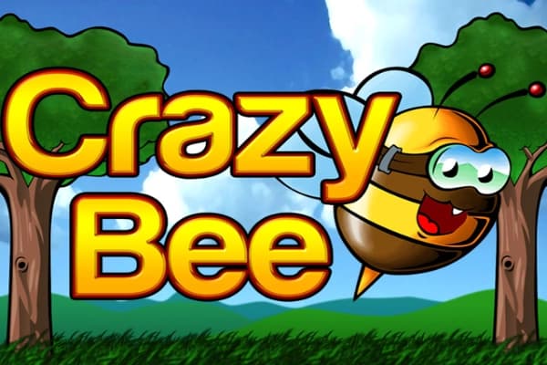 Crazy Bee - Slot Amatic | RTP N/A | MisterTopCasino