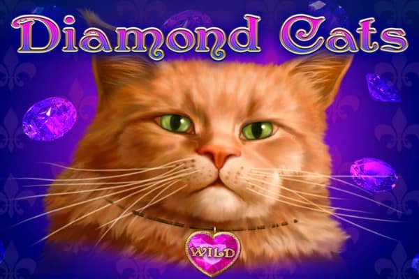 Diamond Cats - Slot Amatic | RTP N/A | MisterTopCasino