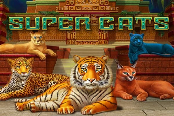 Super Cats - Slot Amatic | RTP N/A | MisterTopCasino