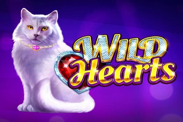 Wild Hearts - Slot Amatic | RTP N/A | MisterTopCasino