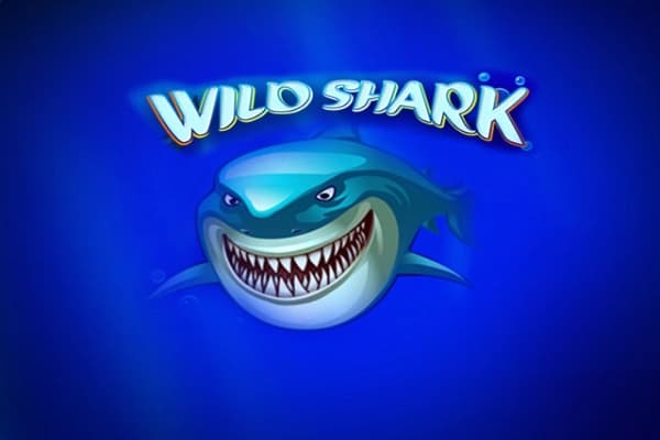 Wild Shark - Slot Amatic | RTP N/A | MisterTopCasino