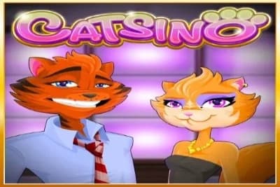 Catsino - Slot Rival | RTP N/A | MisterTopCasino