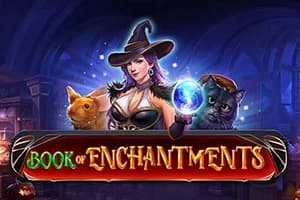 Book of Enchantments - Slot Wizard Games | RTP N/A | MisterTopCasino
