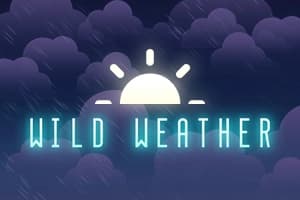 Wild Weather - Slot Tom Horn Gaming | RTP N/A | MisterTopCasino