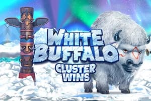 White Buffalo Cluster Wins - Slot Stakelogic | RTP N/A | MisterTopCasino