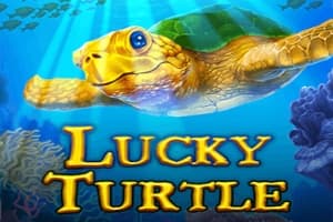 Lucky Turtle - Slot Ready Play Gaming | RTP N/A | MisterTopCasino