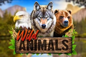 Wild Animals - Slot Red Rake Gaming | RTP N/A | MisterTopCasino