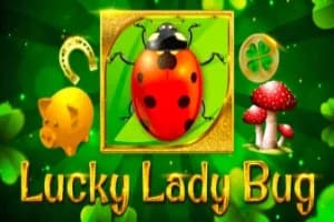 Lucky Lady Bug - Slot 1spin4win | RTP N/A | MisterTopCasino