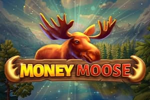 Money Moose - Slot Booming Games | RTP N/A | MisterTopCasino
