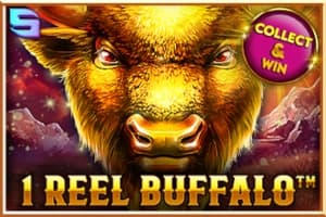 1 Reel Buffalo - Slot Spinomenal | RTP N/A | MisterTopCasino