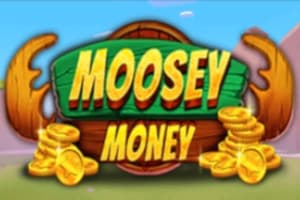 Moosey Money - Slot HungryBear | RTP N/A | MisterTopCasino