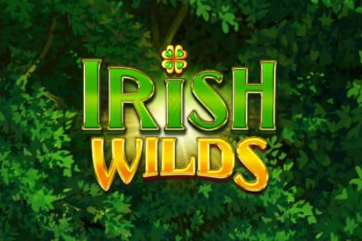 Irish Wilds - Slot Spinberry | RTP N/A | MisterTopCasino
